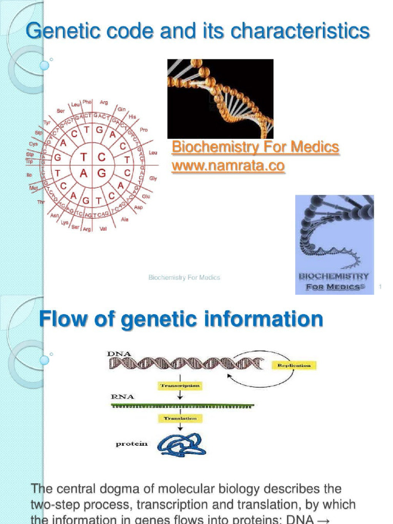 Genetic Code | PDF