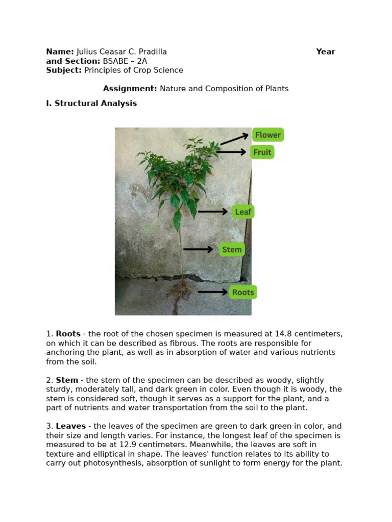Crop Sci - New Assignment | PDF | Plants | Ecosystem