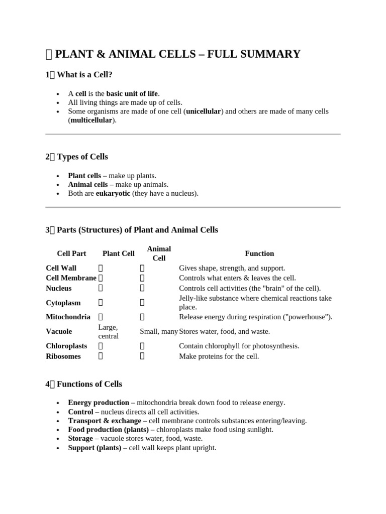 Plant vs. Animal Cells Overview | PDF | Cell (Biology) | Plants