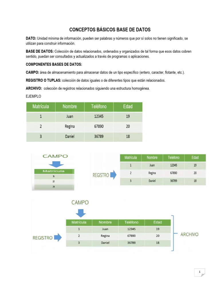 Conceptos Clave de Bases de Datos | PDF | Bases de datos | Datos
