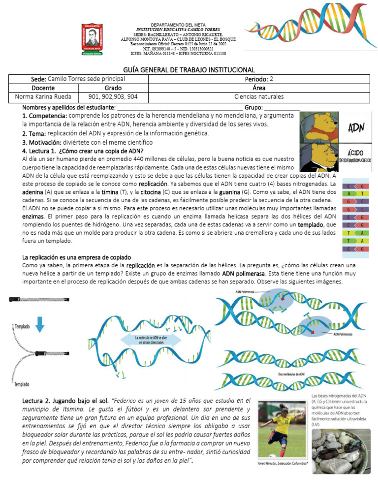Replicación del ADN y síntesis de proteínas | PDF | Rna | Codigo genetico