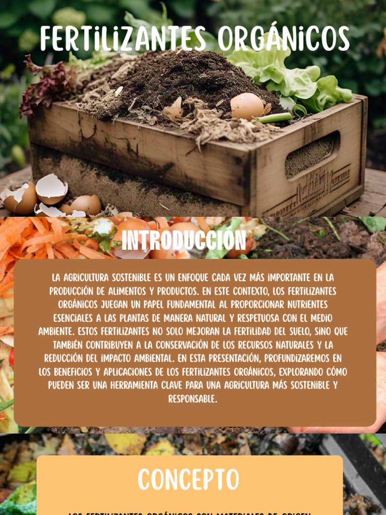 Rastrojo de maíz picado como alternativa al mulch, image size:768x1024