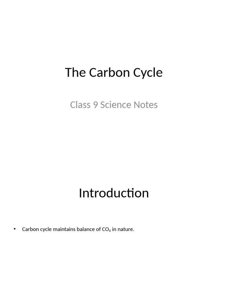 Understanding the Carbon Cycle | PDF