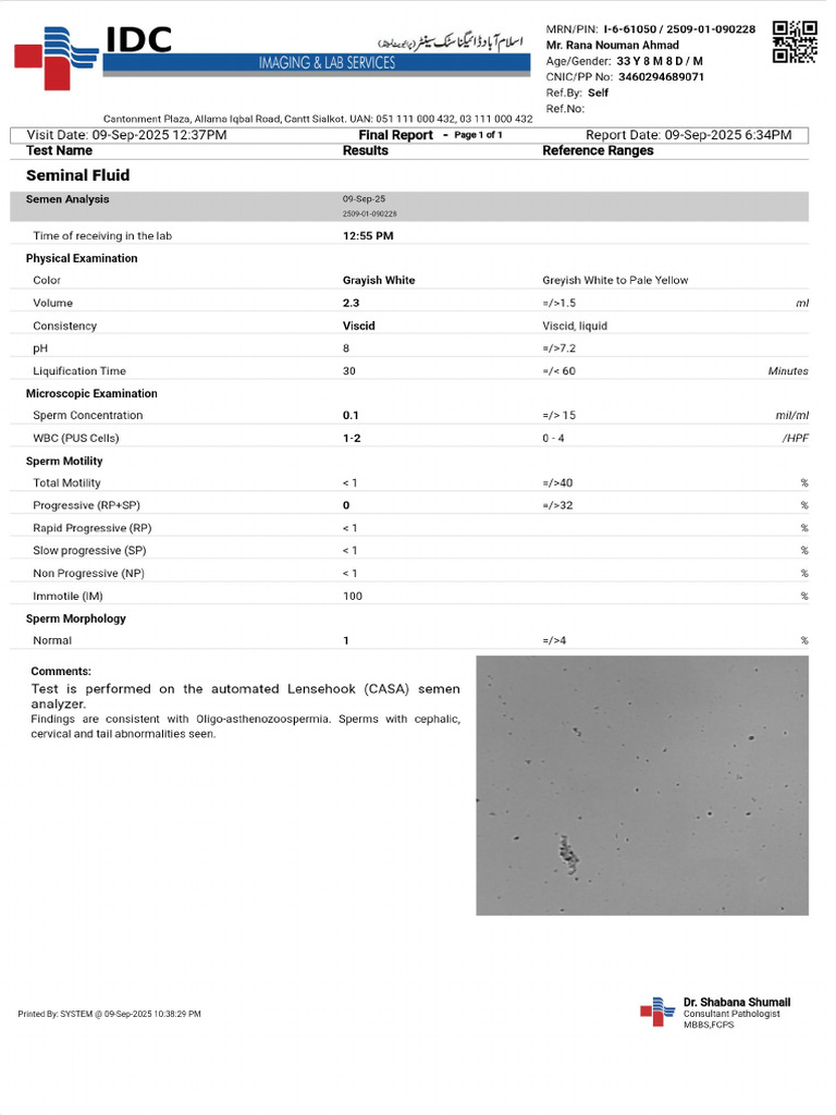 Patient Report PDF | PDF