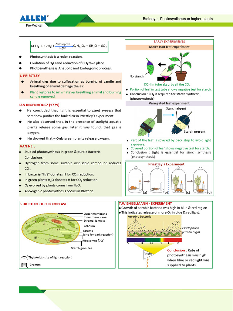 Notefile 1 1710313769 | PDF | Photosynthesis | Chloroplast