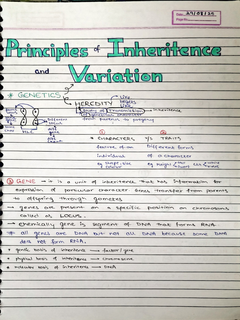 Genetics: Inheritance and Alleles Explained | PDF | Allele | Dominance ...