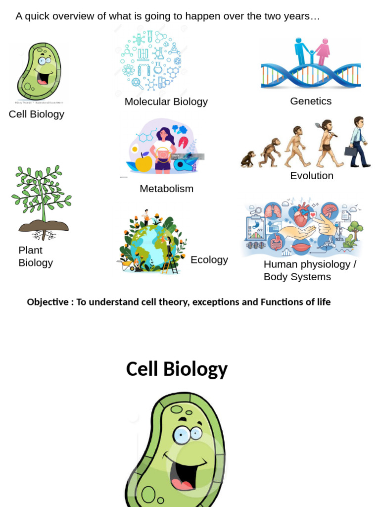Lesson 2 Cell Theory. Functions of Life | PDF