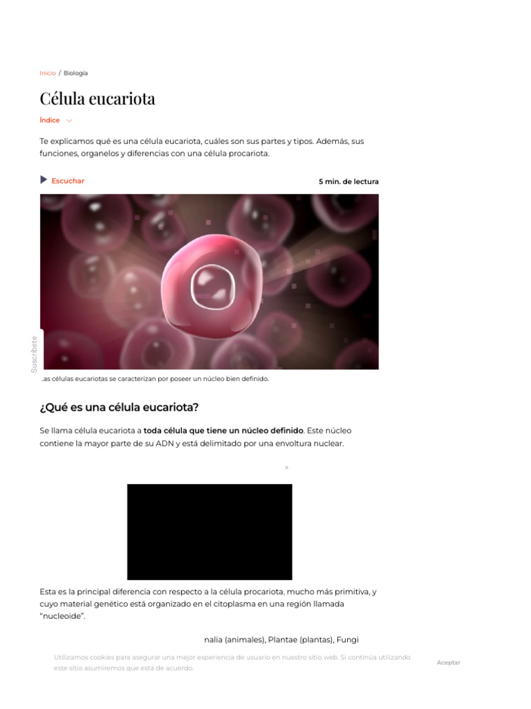 Estructura y Funciones de Células Eucariotas | PDF | Biología Celular ...
