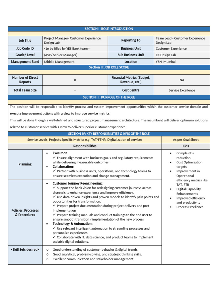 Project Manager - Customer Experience Role | PDF | Customer Experience ...