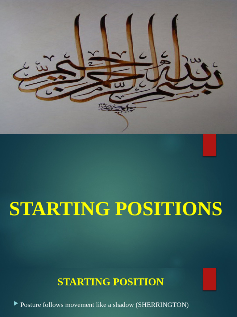 Understanding 12 and 20 Starting Positions | PDF | Anatomical Terms Of ...