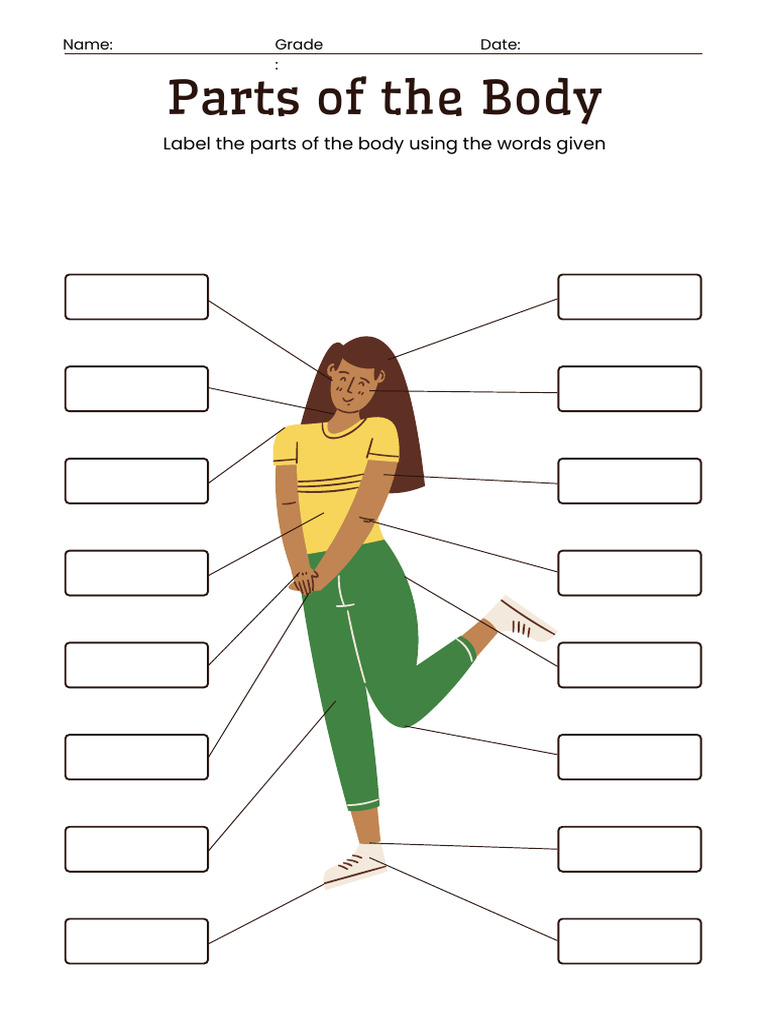 Ficha Ingles 6 Ano Parts of The Body | PDF
