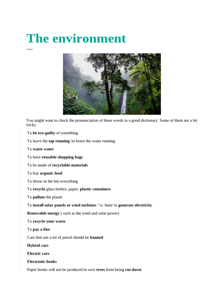 Essential Environmental Vocabulary Guide | PDF