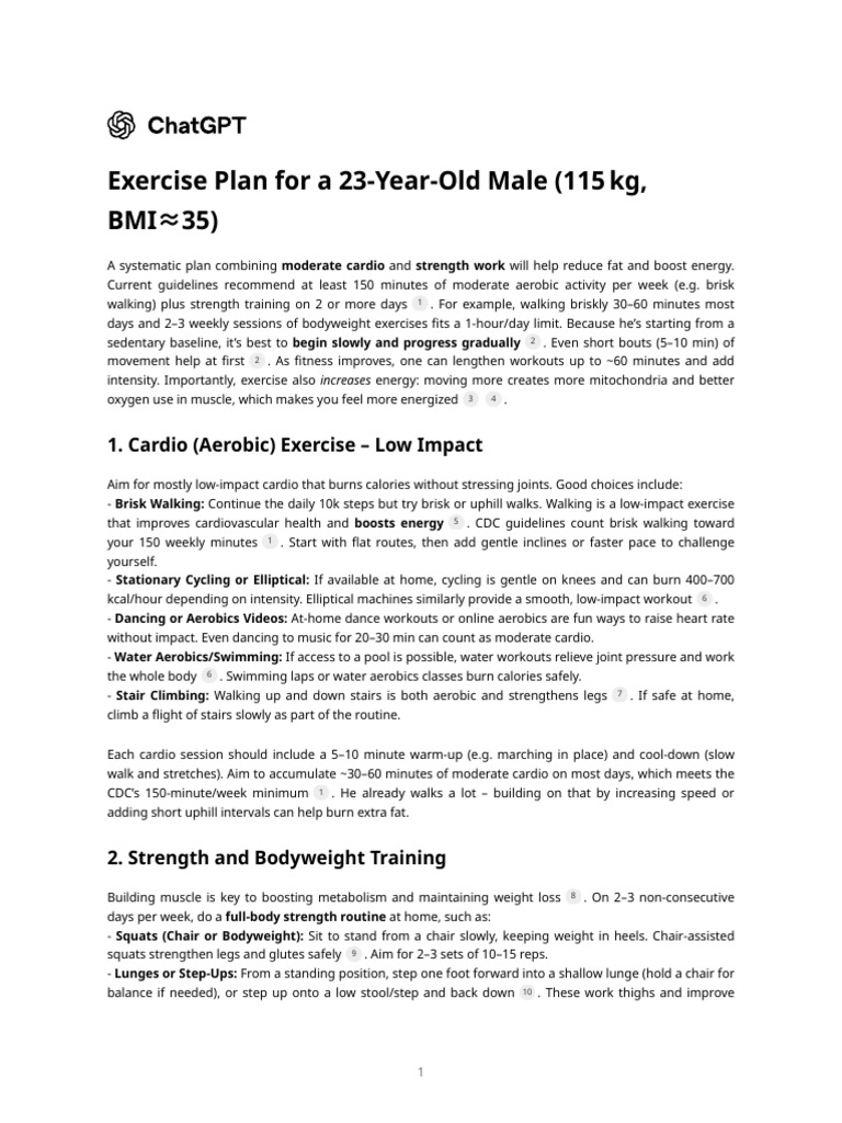 Exercise Plan for 115kg Male | PDF | Aerobic Exercise | Strength Training