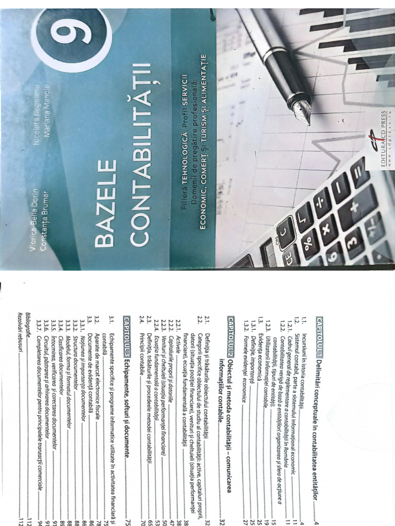 Bazele Contabilitatii - Manual | PDF