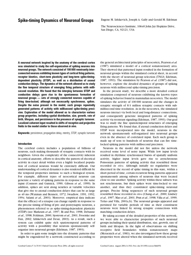 Neuronal Group Dynamics in Cortex Model | PDF | Synapse | Neuron