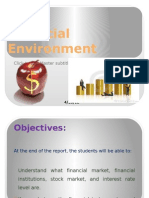 Financial Environment