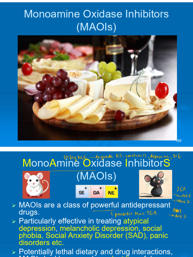 6antidepressant MAOI 2025 - D7f59e24344c385af15ff8 - 250408 - 093220 ...