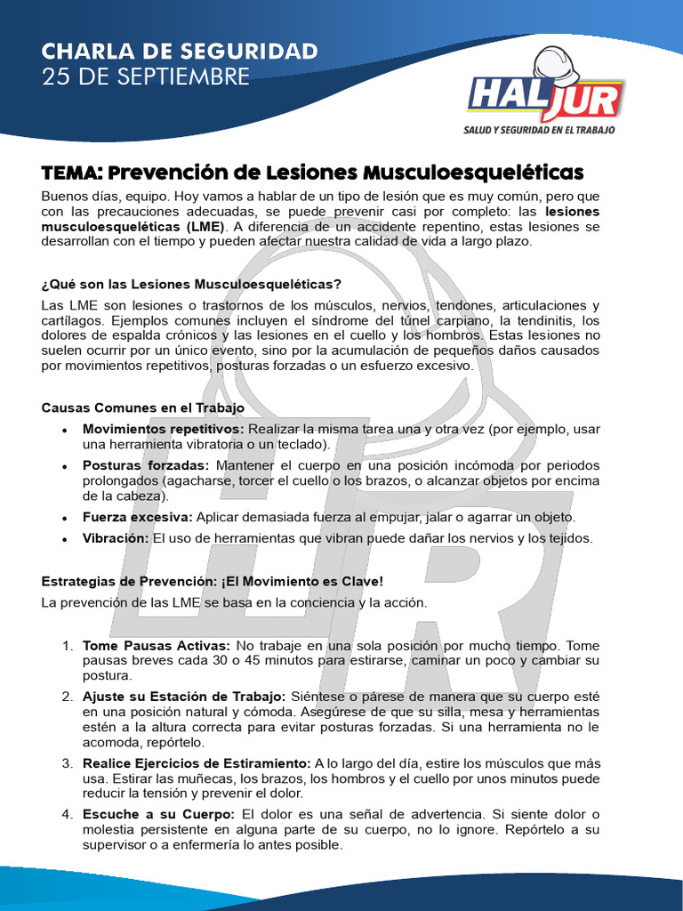 Charla de Seguridad 250925 | PDF