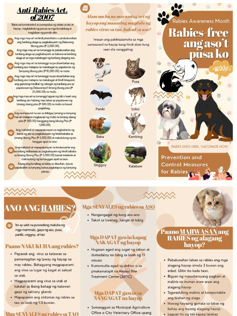 Anti Rabies Brochure - CHU San Juan | PDF
