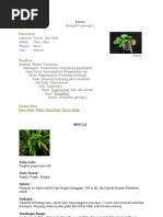 Download Apotik Hidup by Andry F Yanto SN91600822 doc pdf