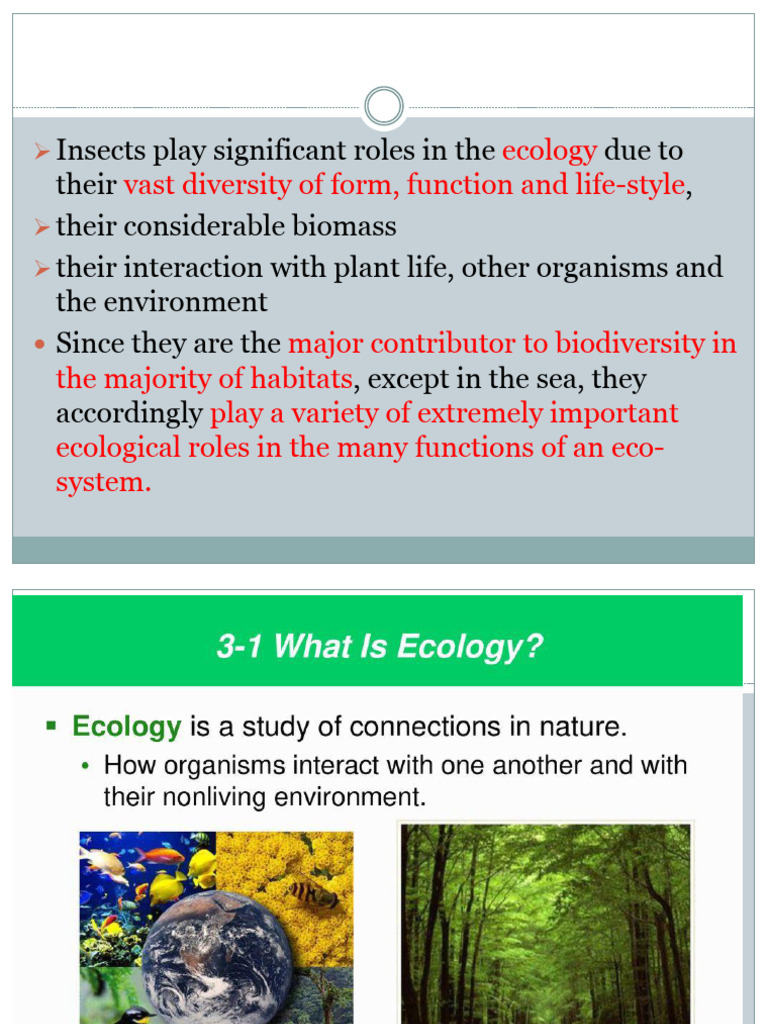 Insects: Key Ecosystem Regulators | PDF | Insects | Biodiversity