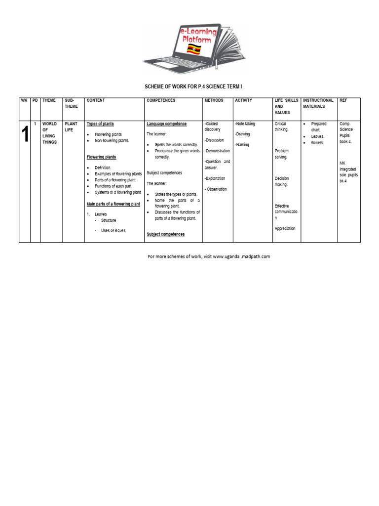 p.4 Science Scheme Term 1 | PDF | Flowers | Plant Nursery