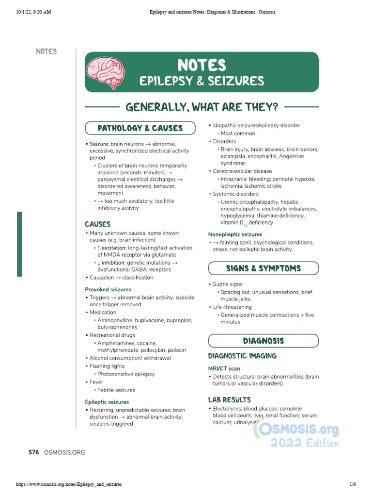 Epilepsy and Seizures Overview | PDF