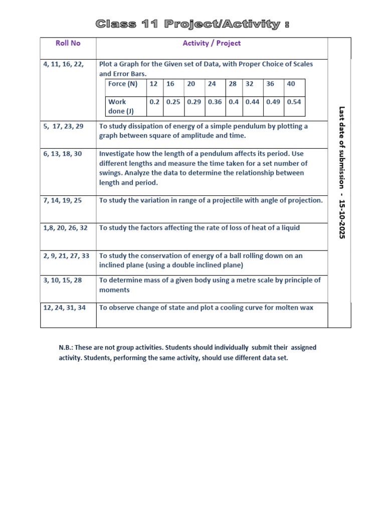 11 Activity 2025 | PDF
