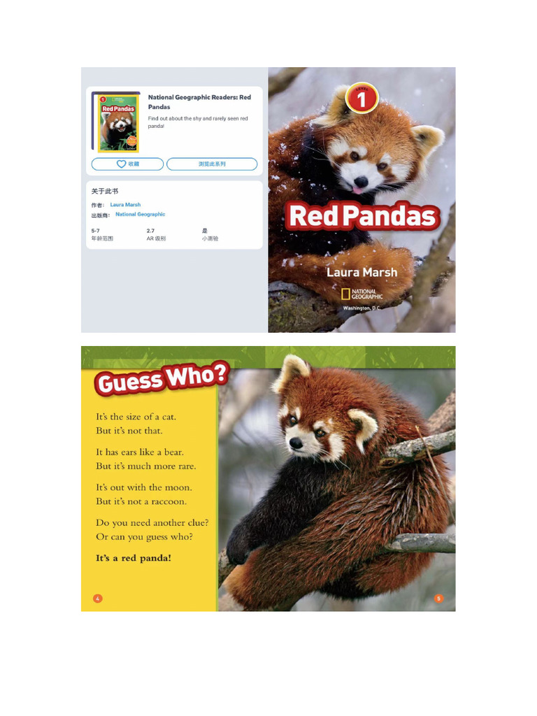 31.red Pandas | PDF