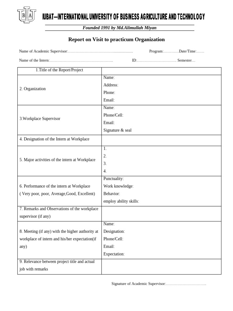 Intern Report Template for Practicum | PDF