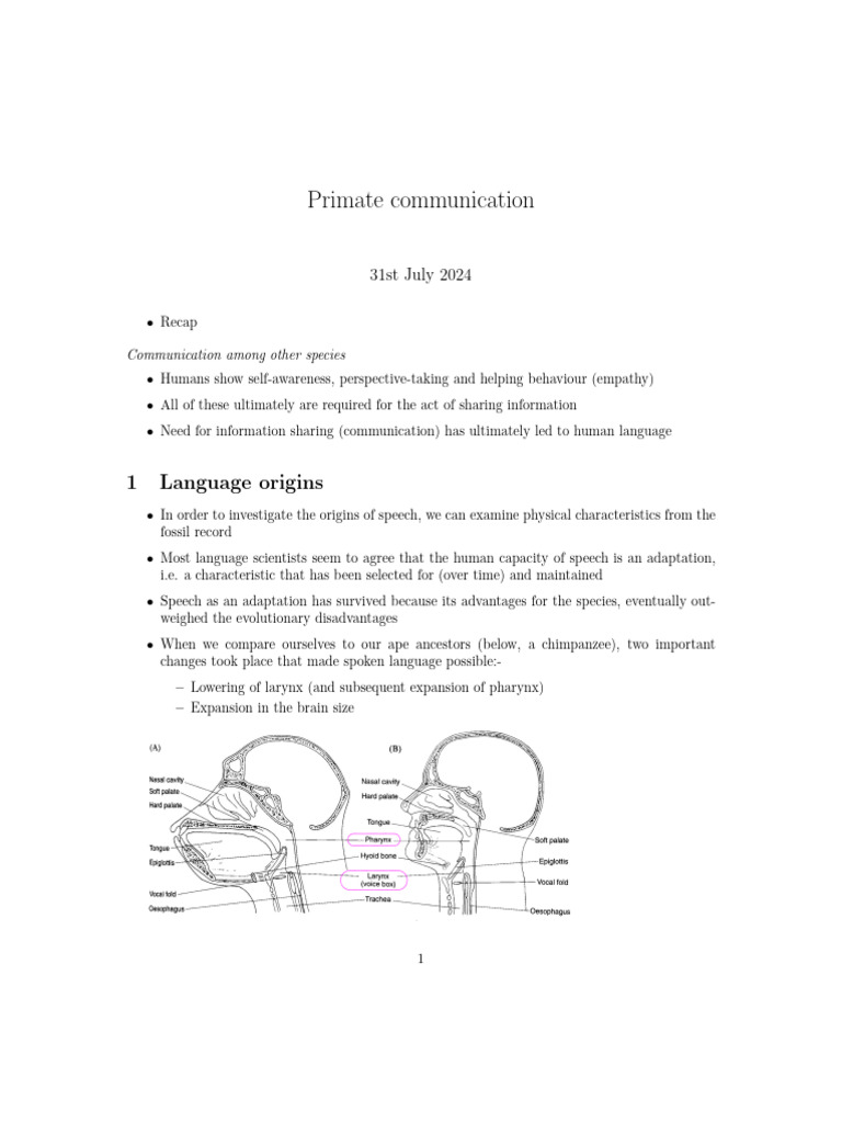 Evolution of Primate Communication | PDF | Speech | Human Evolution