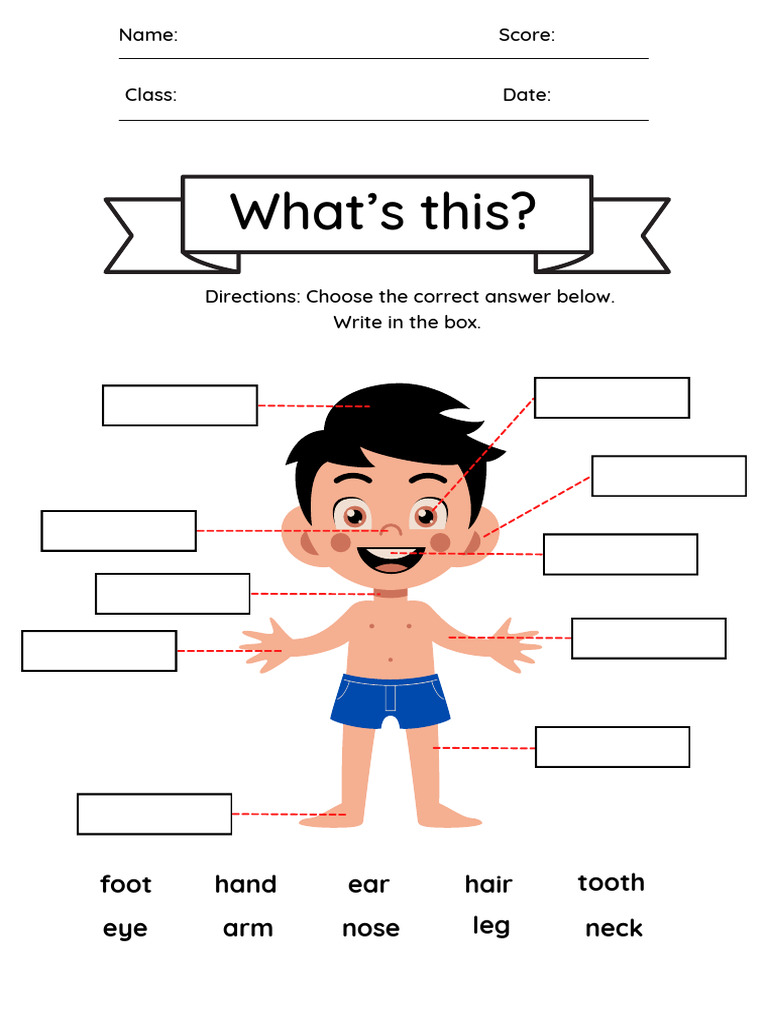 Body Part | PDF