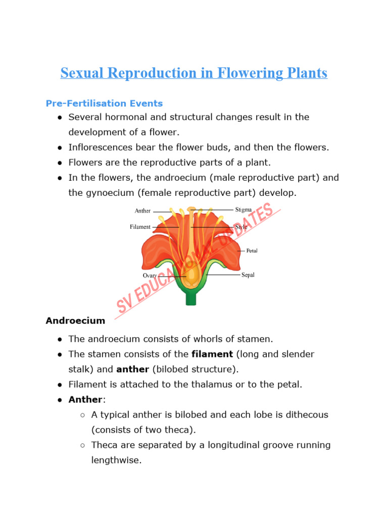 Monocarpellary vs Multicarpellary Plants | PDF | Seed | Flowers