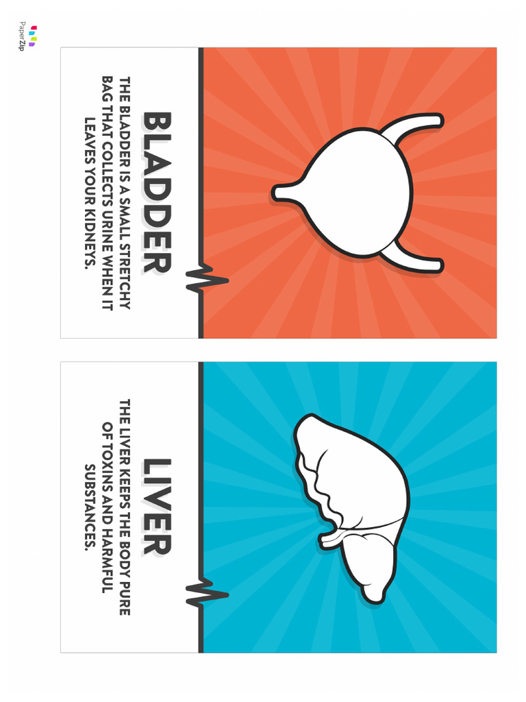 Internal Organs Posters | PDF