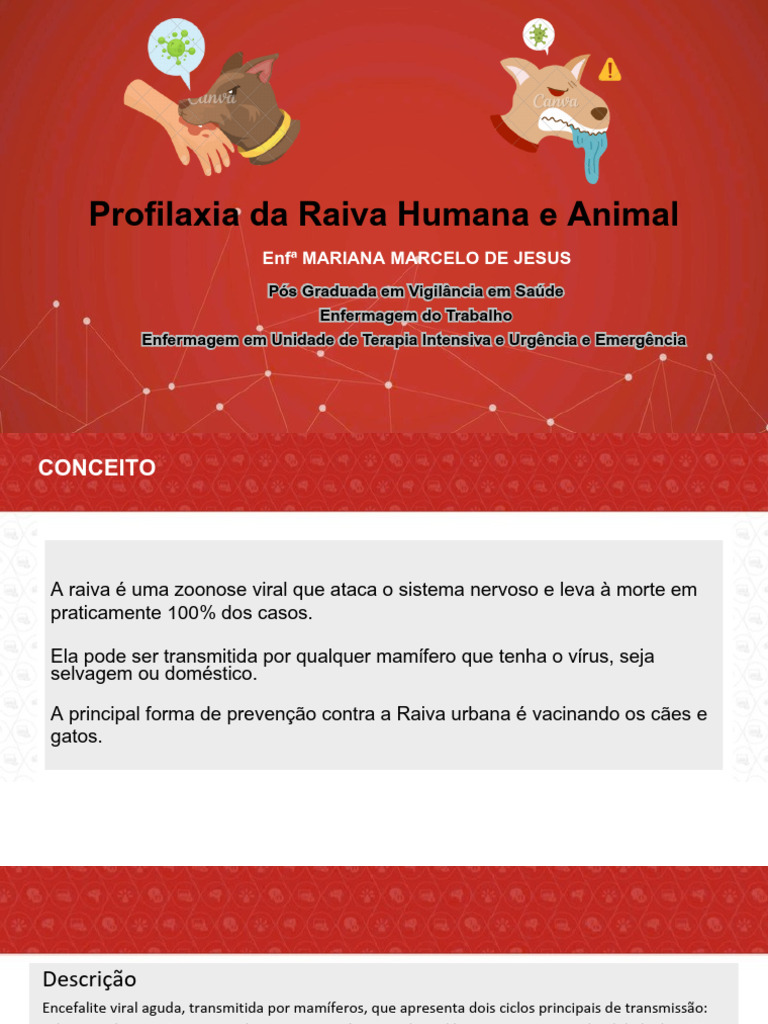 Profilaxia da Raiva: Prevenção e Tratamento | PDF | Raiva | Vírus