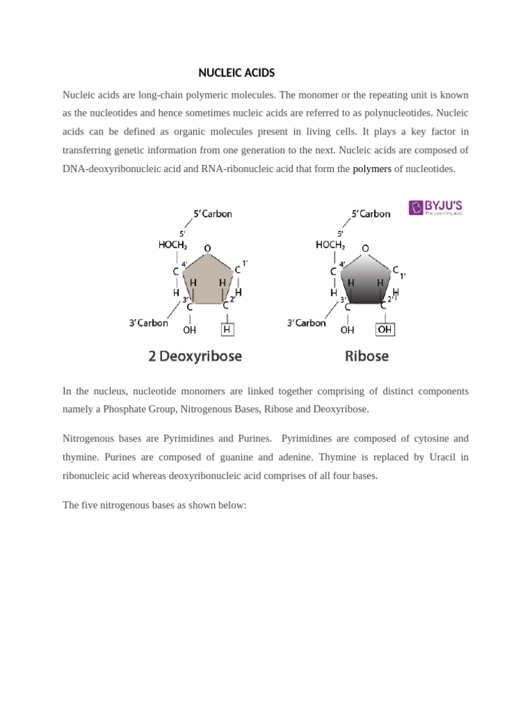Understanding Nucleic Acids and DNA | PDF | Nucleotides | Rna