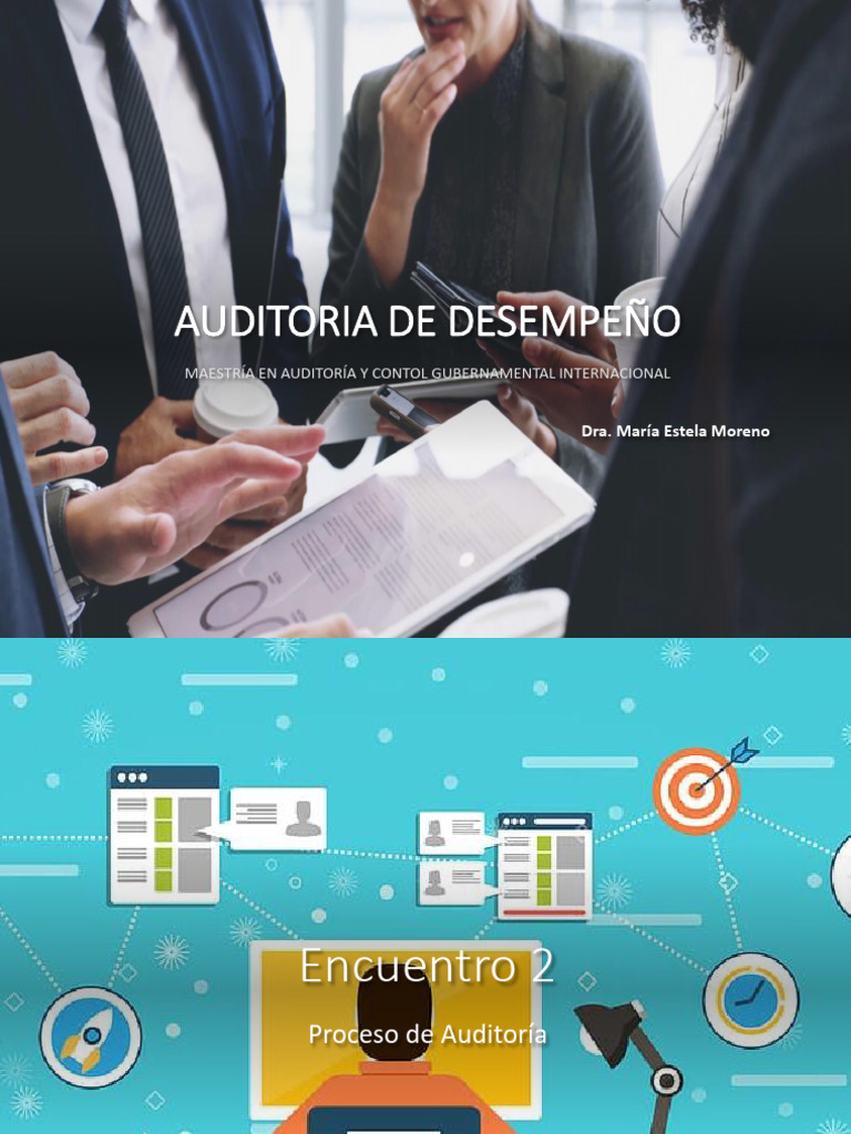 Auditoría de Desempeño en Proyectos | PDF | Auditoría