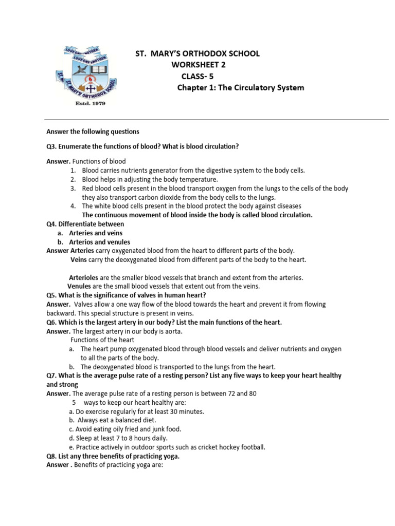 Circulatory System Worksheet for Class 5 | PDF | Artery | Blood