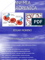 Anemia Ferropenica