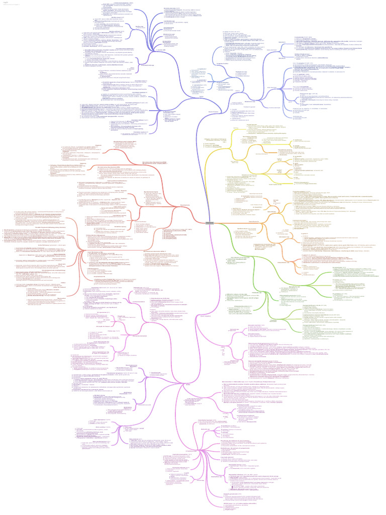 Bacterial Infections: Key Pathogens Overview | PDF | Methicillin ...