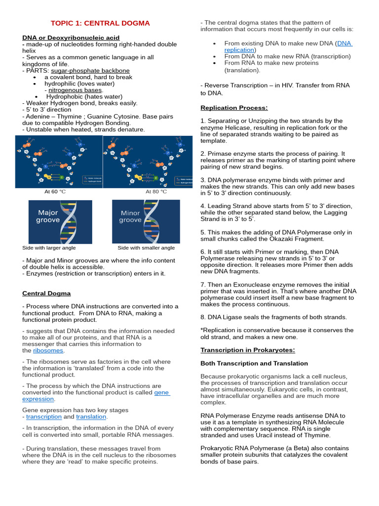 Understanding the Central Dogma of Biology | PDF | Dna | Rna