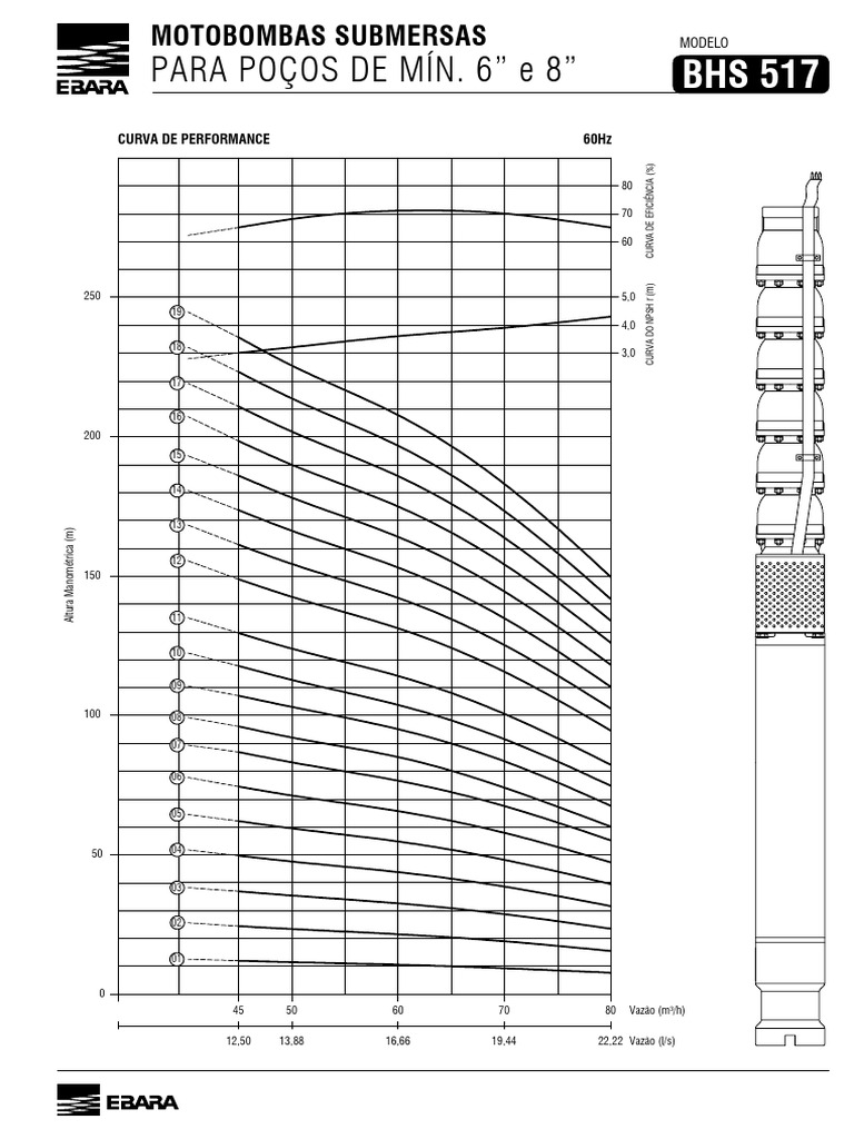 BHS 517 | PDF