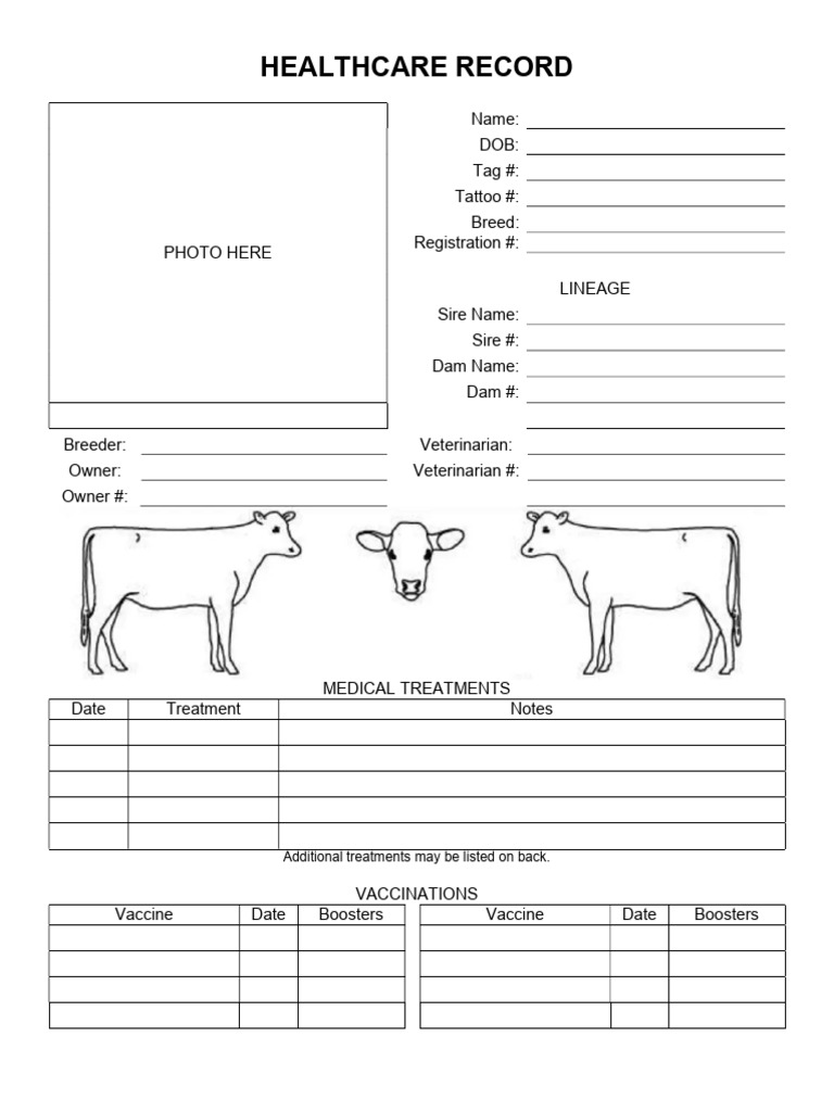 Comprehensive Healthcare Record Template | PDF