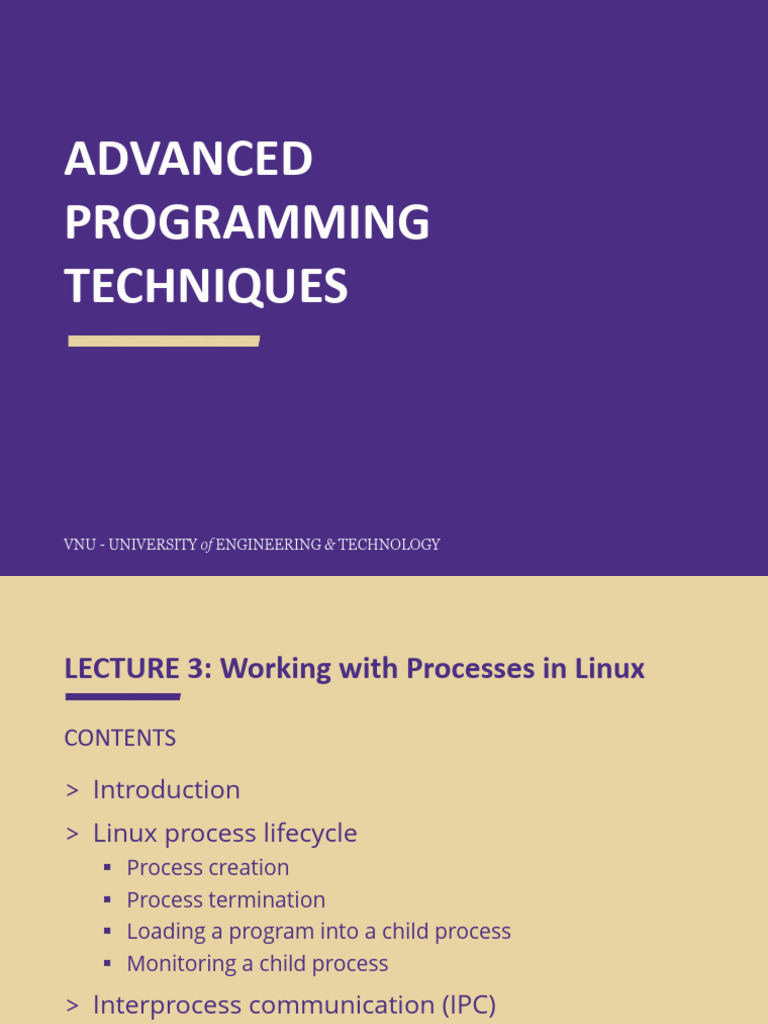 Linux Process Management Techniques | PDF | Process (Computing) | Computing