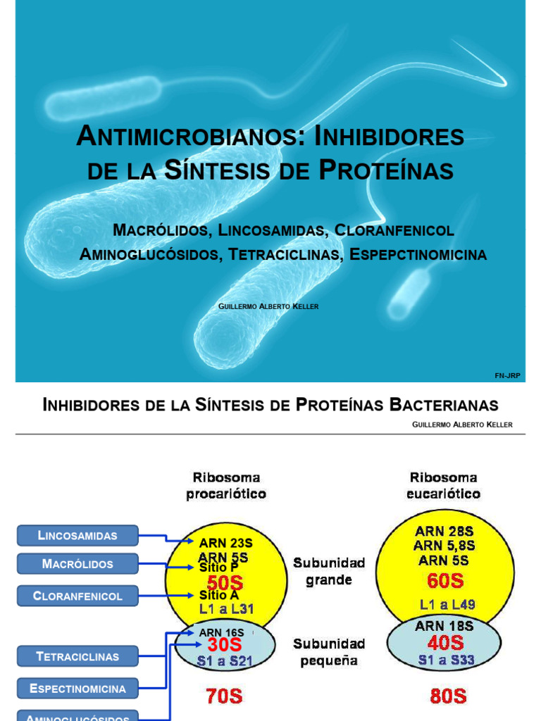 F2F2 Inhib de Sintesis Proteica y DNA | PDF | Farmacocinética | Drogas
