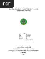 Download Laporan Praktikum 5 Lichen n Mikoriza Rini by Rina Anggraeni Dewi SN91619886 doc pdf