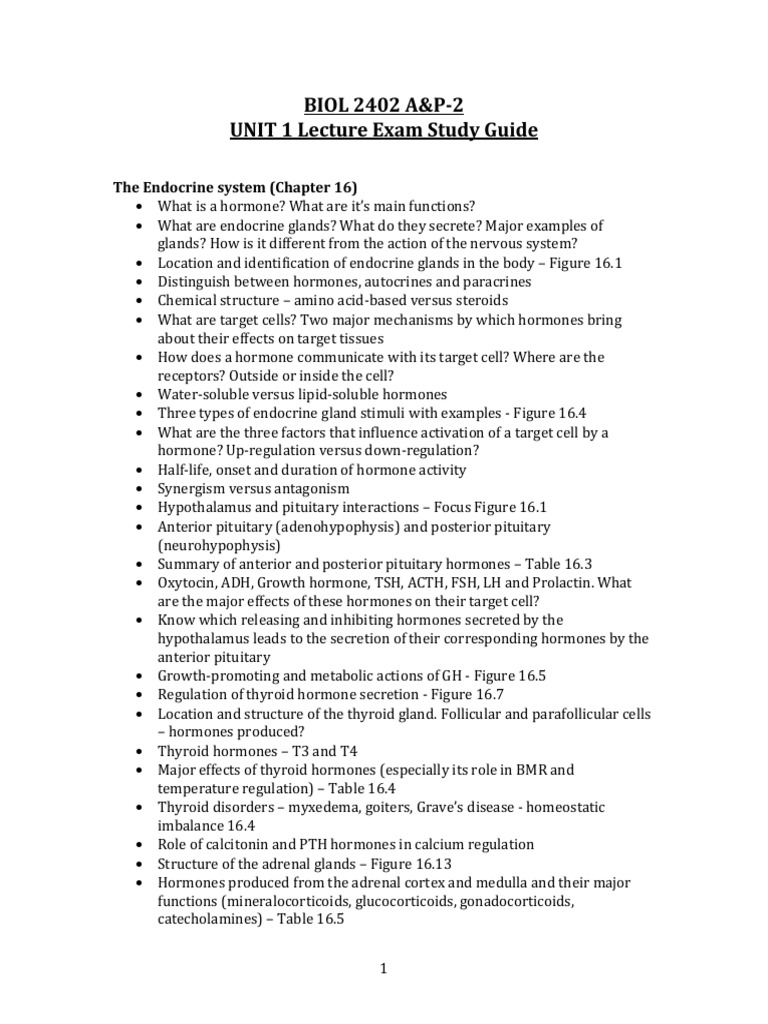Endocrine and Blood Systems Study Guide | PDF | Heart | Blood Pressure