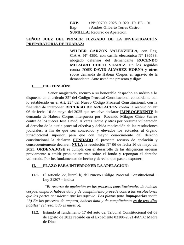 Recurso de Apelación en Habeas Corpus | PDF | Apelación | Habeas corpus