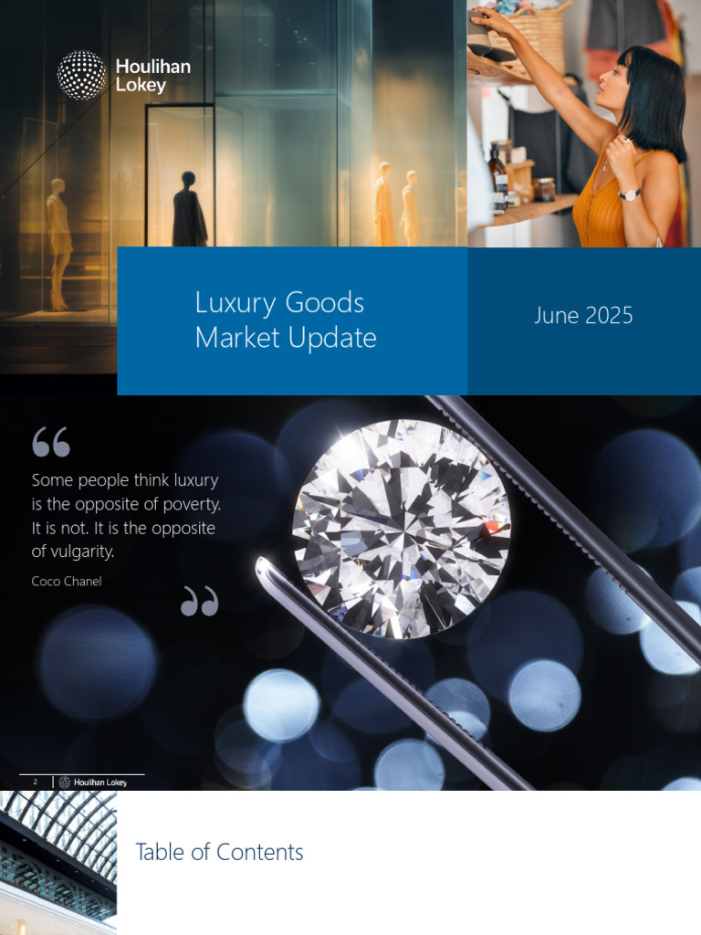 2025 Global Luxury Goods Market Update | PDF | Luxury Goods | Brand