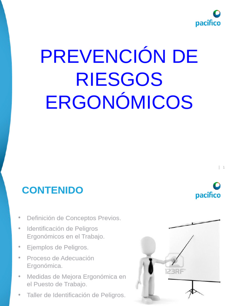 Prevención De Riesgos Ergonómicos Pdf 